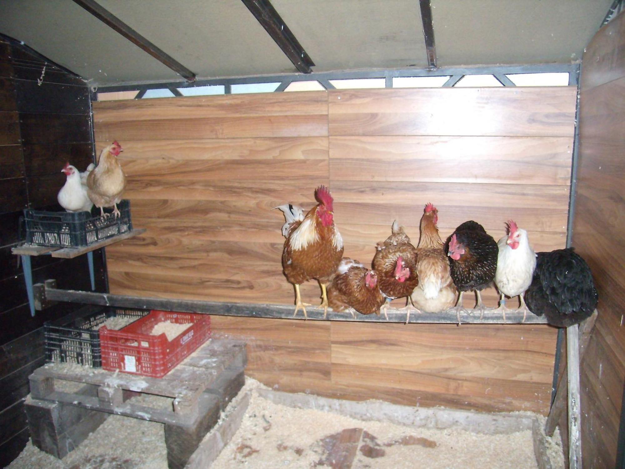 Casa Rural Basajarau Yosa de Sobremonte Dış mekan fotoğraf