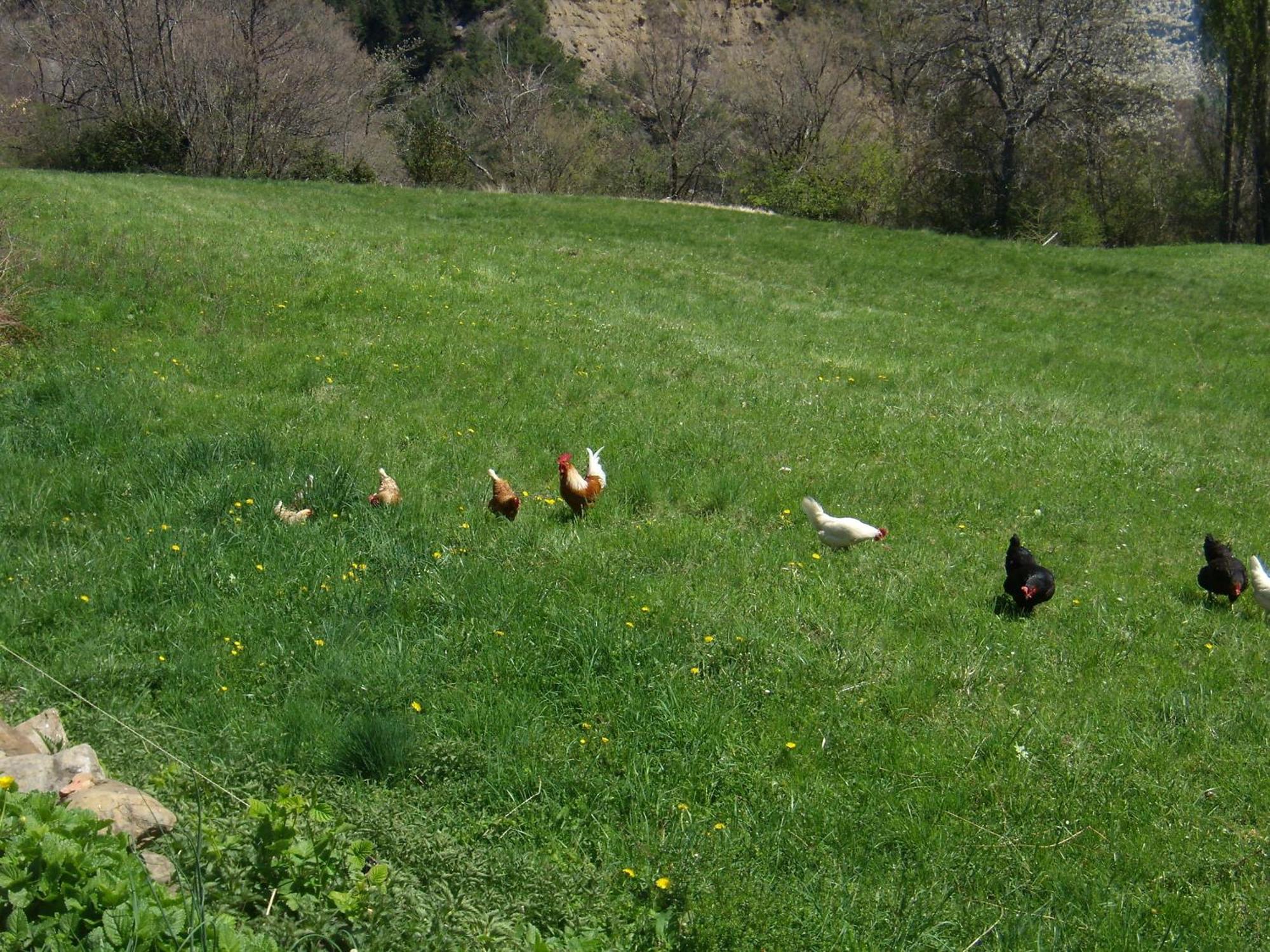 Casa Rural Basajarau Yosa de Sobremonte Dış mekan fotoğraf